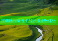 吹潮麻豆精选平台高清流畅体验