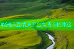 吹潮麻豆精选平台高清流畅体验