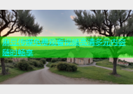 麻豆传媒免费观看视频高清多元内容随时畅享