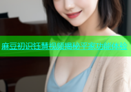 麻豆初识钰慧视频揭秘平家功能体验