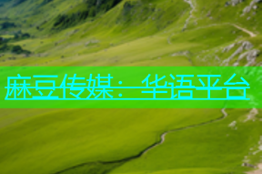 麻豆传媒：华语平台