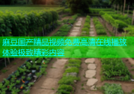 麻豆国产精品视频免费高清在线播放体验极致精彩内容
