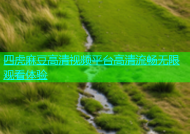 四虎麻豆高清视频平台高清流畅无限观看体验