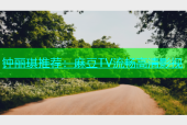 钟丽琪推荐：麻豆TV流畅高清影视