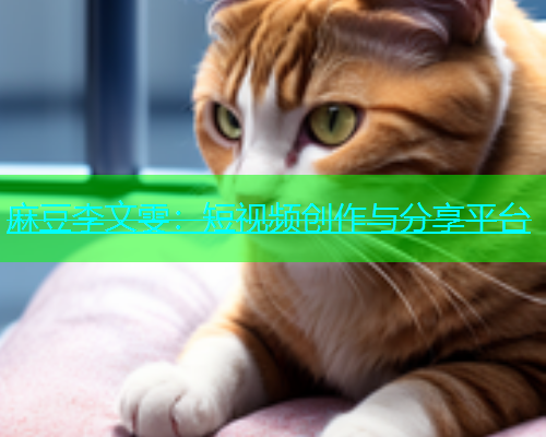 麻豆李文雯：短视频创作与分享平台  第1张