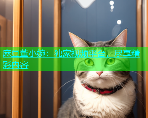 麻豆董小婉：独家视频平台，尽享精彩内容  第1张