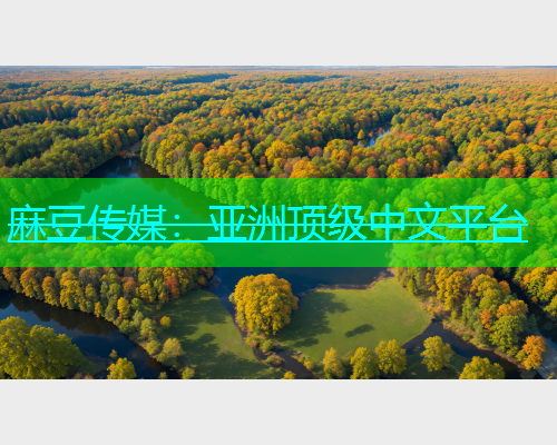 麻豆传媒：亚洲顶级中文平台  第2张