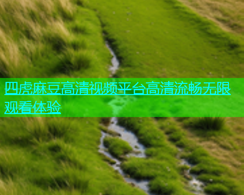 四虎麻豆高清视频平台高清流畅无限观看体验  第1张