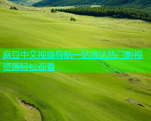 麻豆中文视频导航一站直达热门影视资源轻松观看  第2张