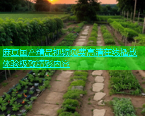 麻豆国产精品视频免费高清在线播放体验极致精彩内容  第1张
